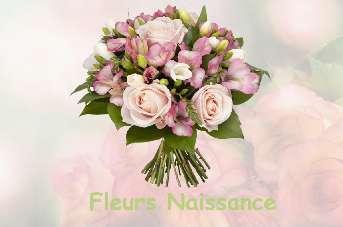 fleurs naissance NEUILLY-LE-BISSON